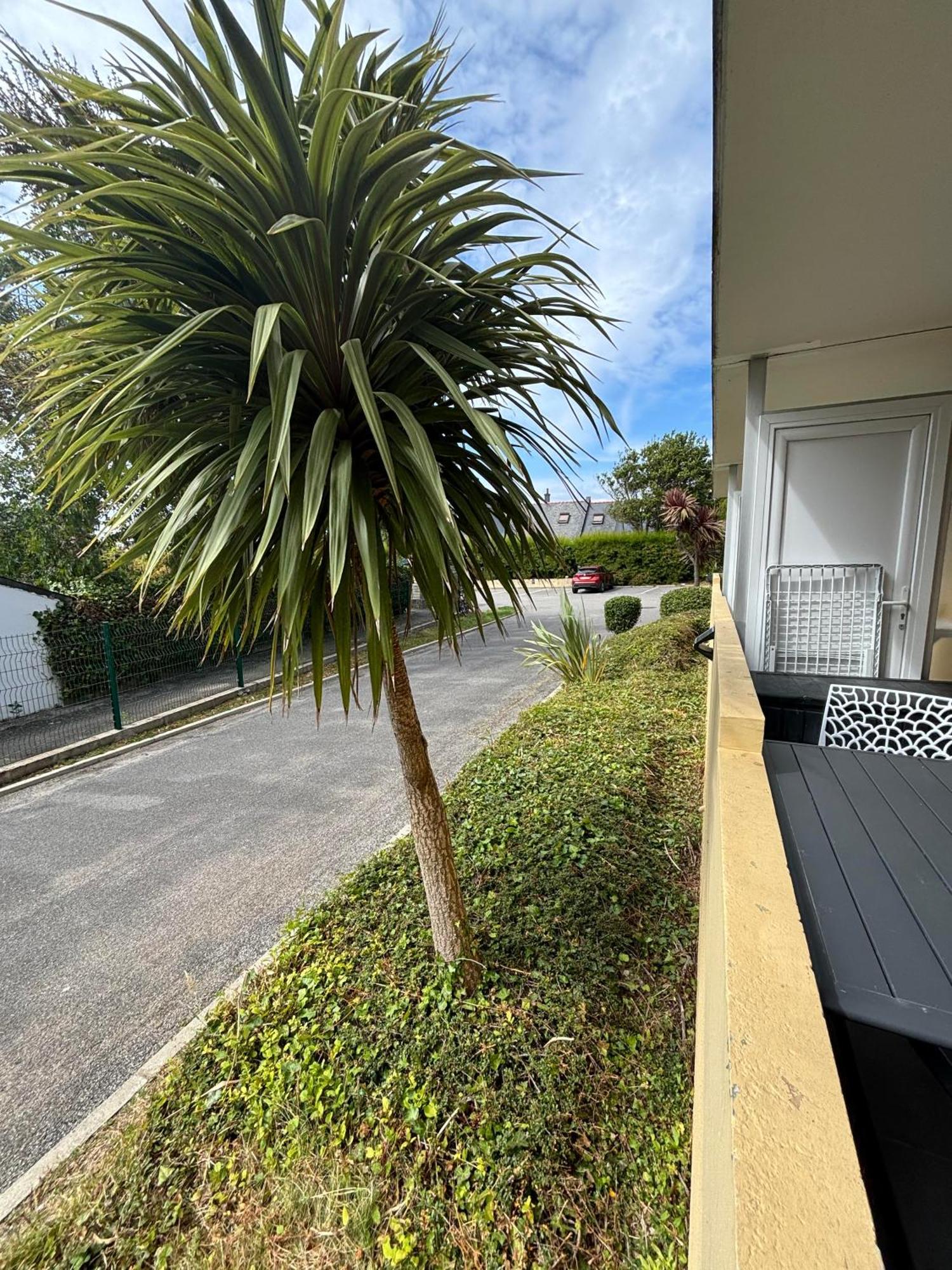 Appartement Studio 4 Personnes Dans Residence Avec Piscine Quiberon Buitenkant foto